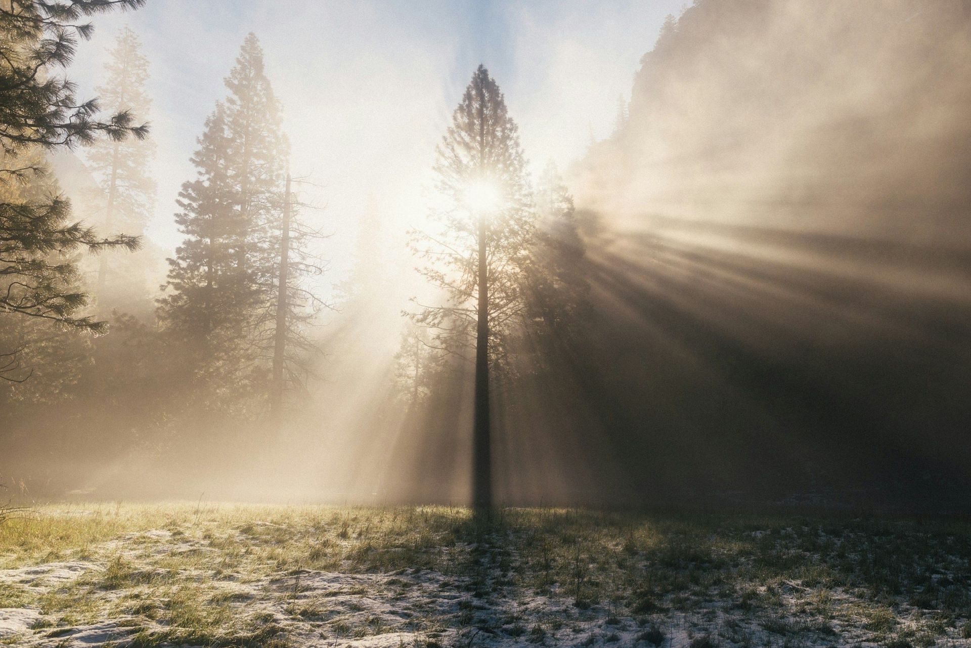 Sun is a source of this radiation. (Image by Connor Mcsheffrey/Unsplash)